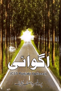 OG7-2 CSS Agwaai Punjabi by Wasif Latif