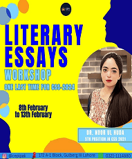 Literary Essays Workshop